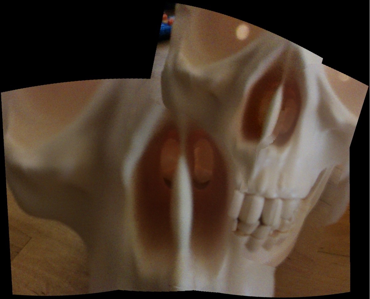 PhotoSynth Skullfudgery